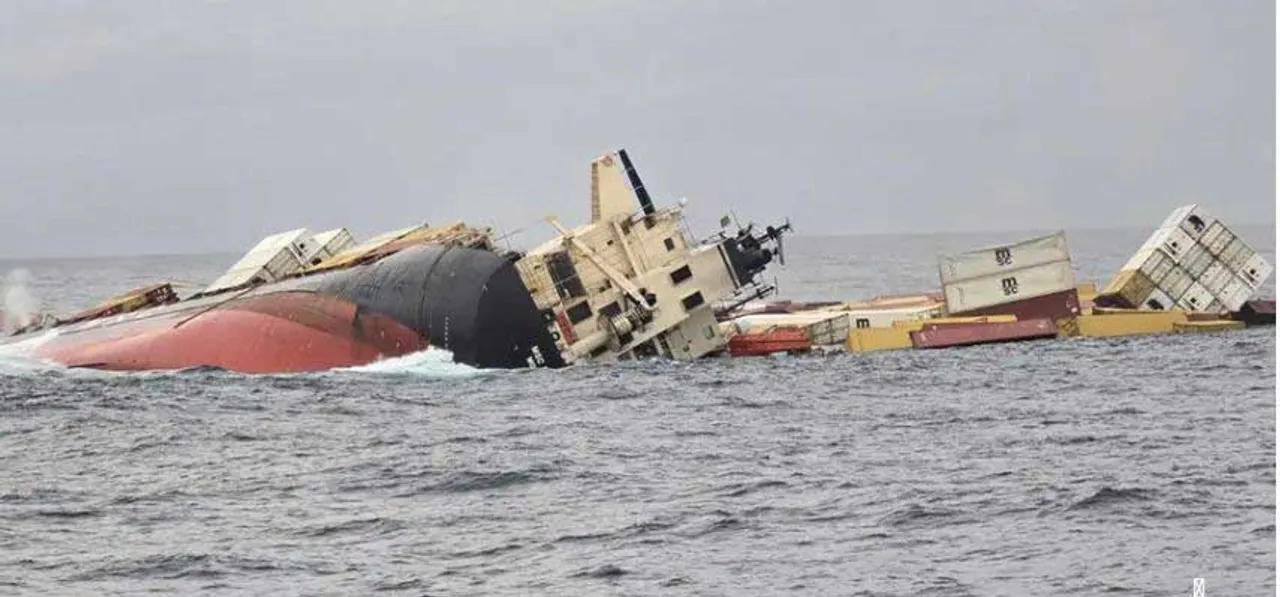 msc elsa